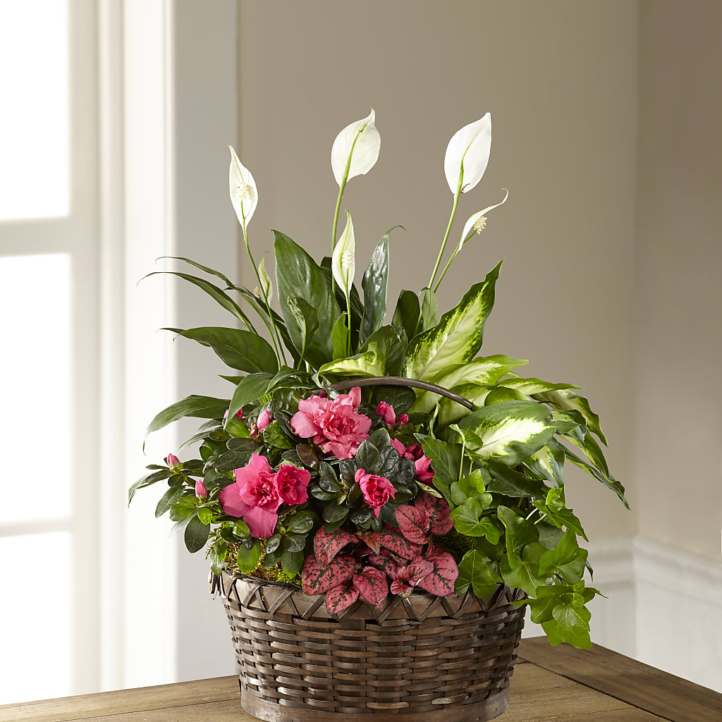 Dream in Pink Dishgarden – MARMET FLOWERS & MORE, Marmet WV