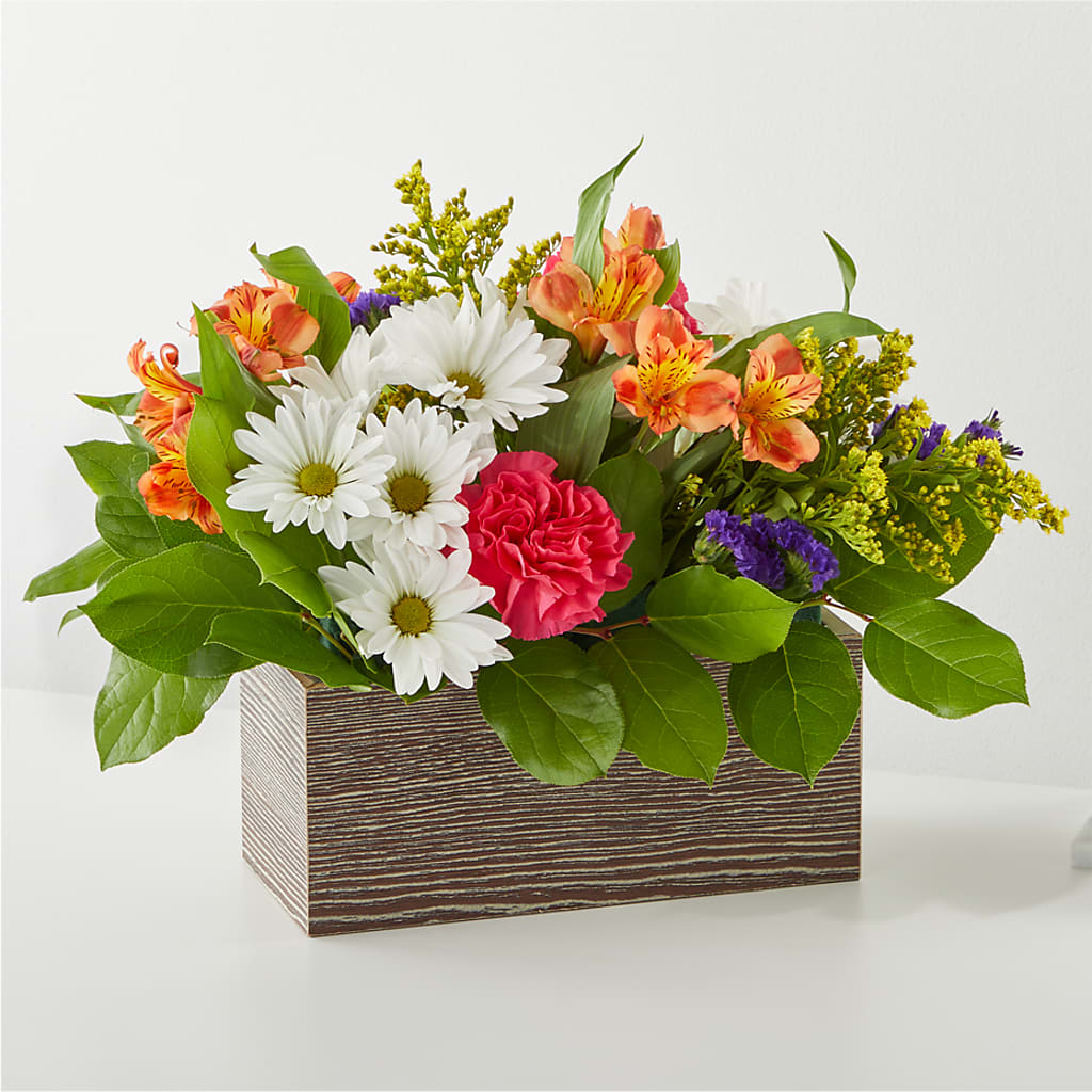 Oopsie Daisy Box Bouquet – MARMET FLOWERS & MORE, Marmet WV
