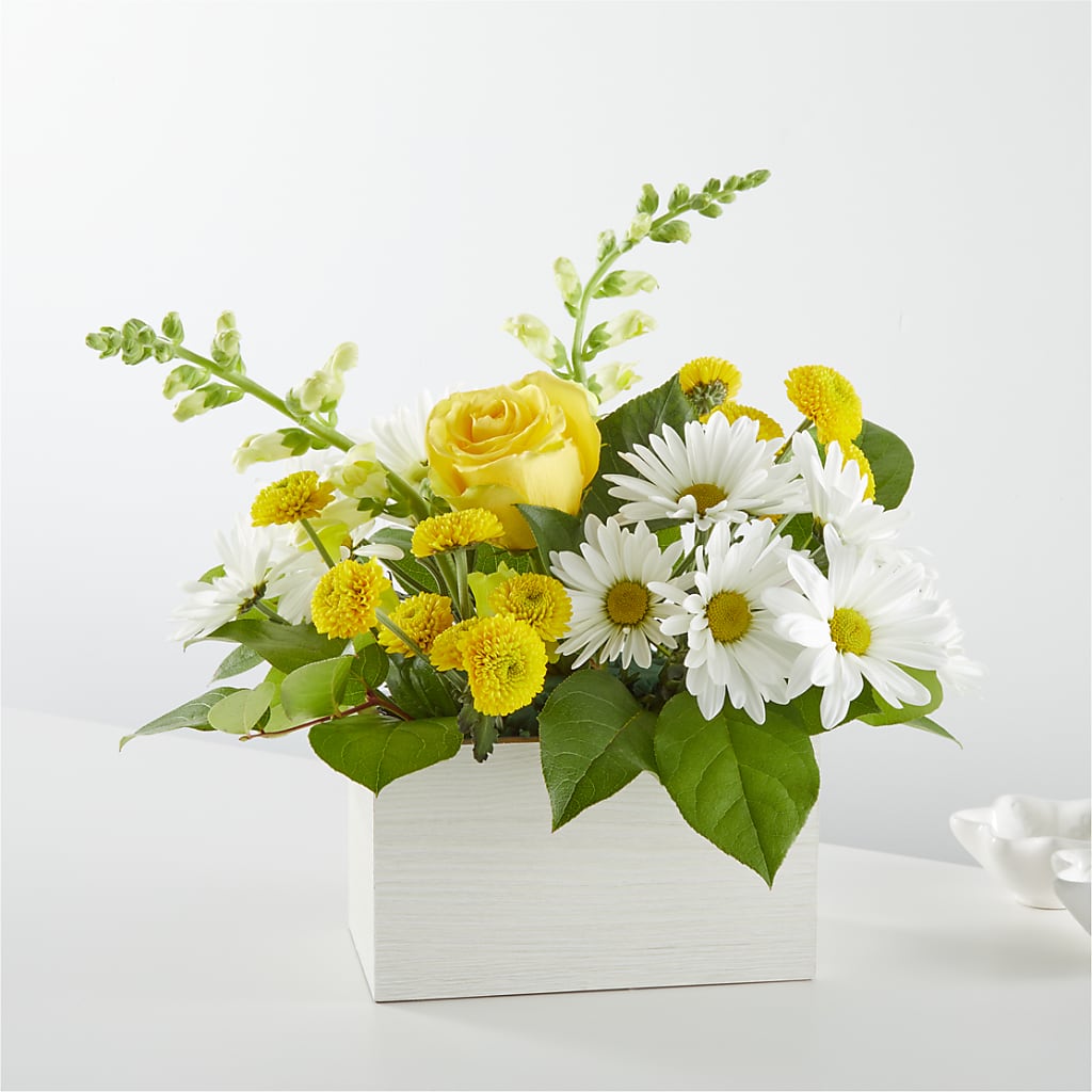Sun Salutation Box Bouquet – MARMET FLOWERS & MORE, Marmet WV