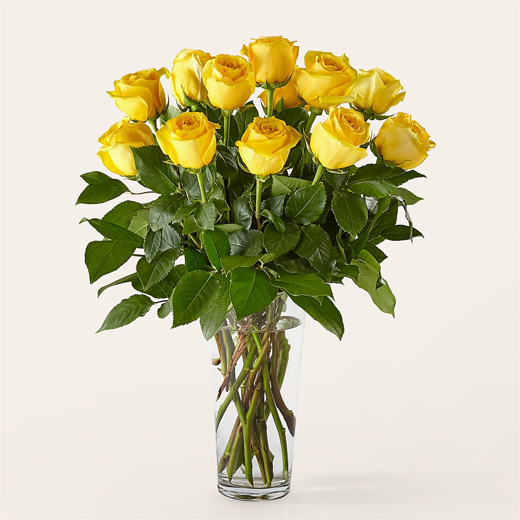 Long Stem Yellow Rose Bouquet – MARMET FLOWERS & MORE, Marmet WV