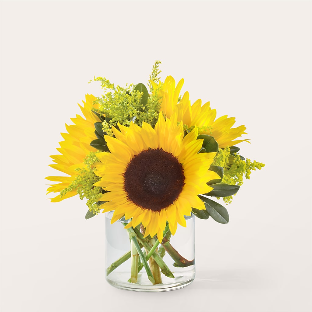 Beaming Sunflower Bouquet – MARMET FLOWERS & MORE, Marmet WV