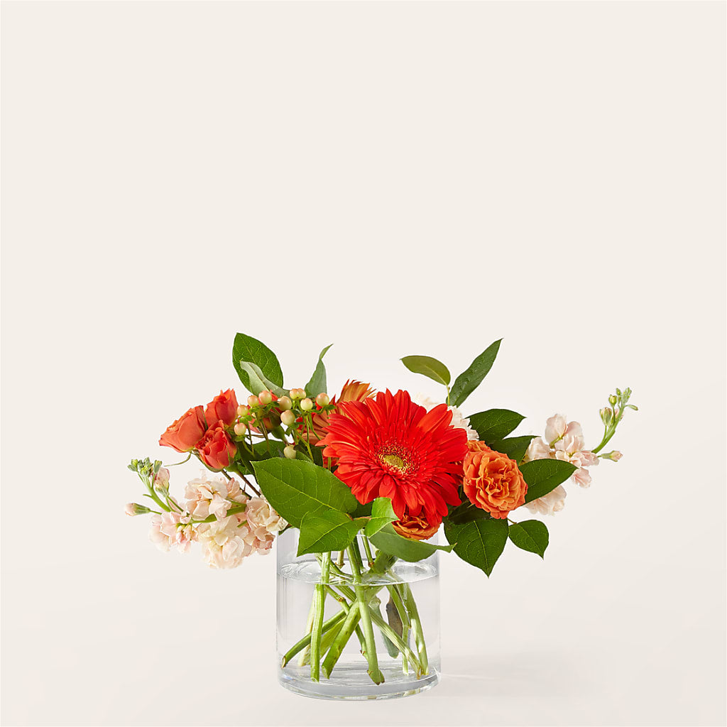 Paloma Please Bouquet – MARMET FLOWERS & MORE, Marmet WV