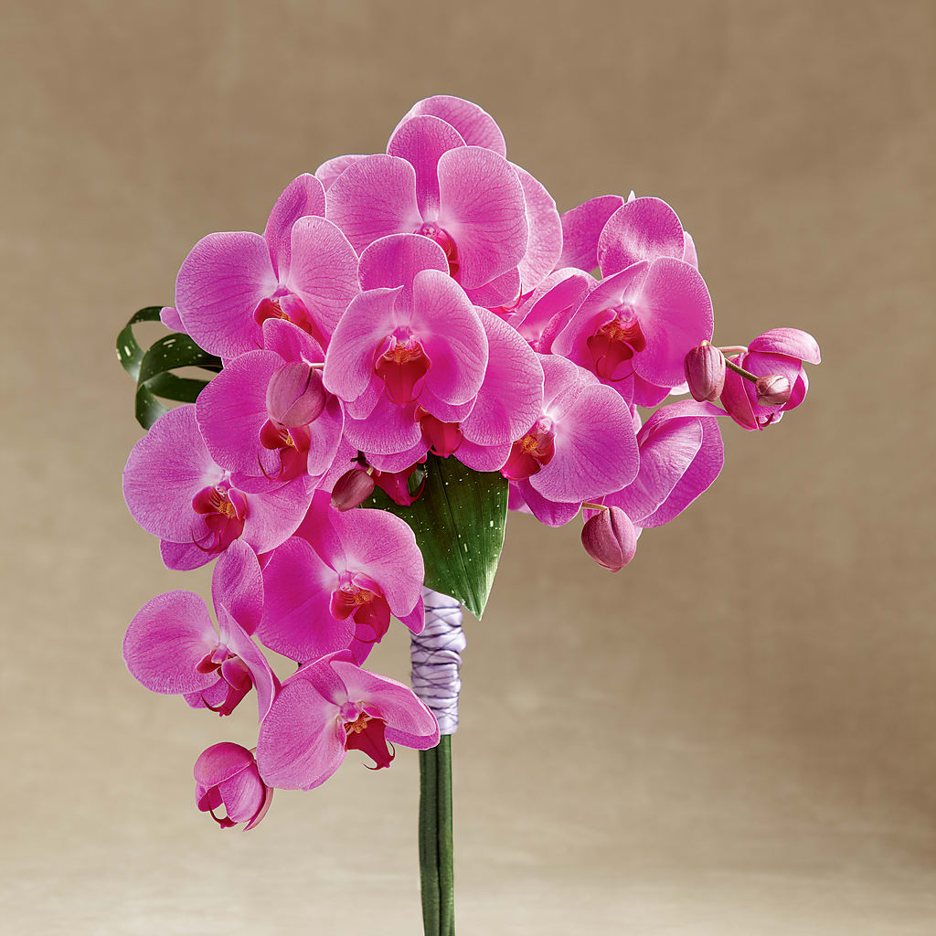 Glorious Bouquet – MARMET FLOWERS & MORE, Marmet WV