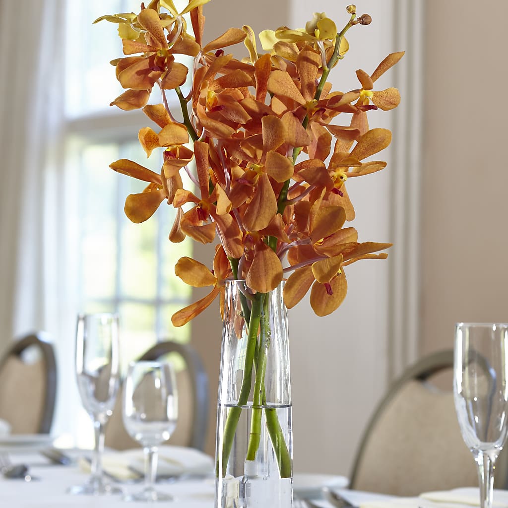Orange Mokara Bud Vase – MARMET FLOWERS & MORE, Marmet WV
