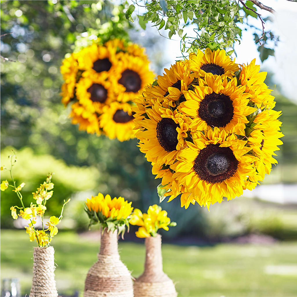 Sublime Garden Hanging Arrangement – MARMET FLOWERS & MORE, Marmet WV