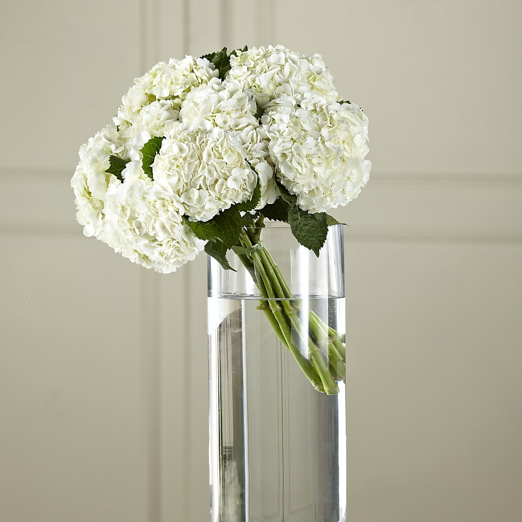 White Hydrangea Hand-Tied Bouquet – MARMET FLOWERS & MORE, Marmet WV