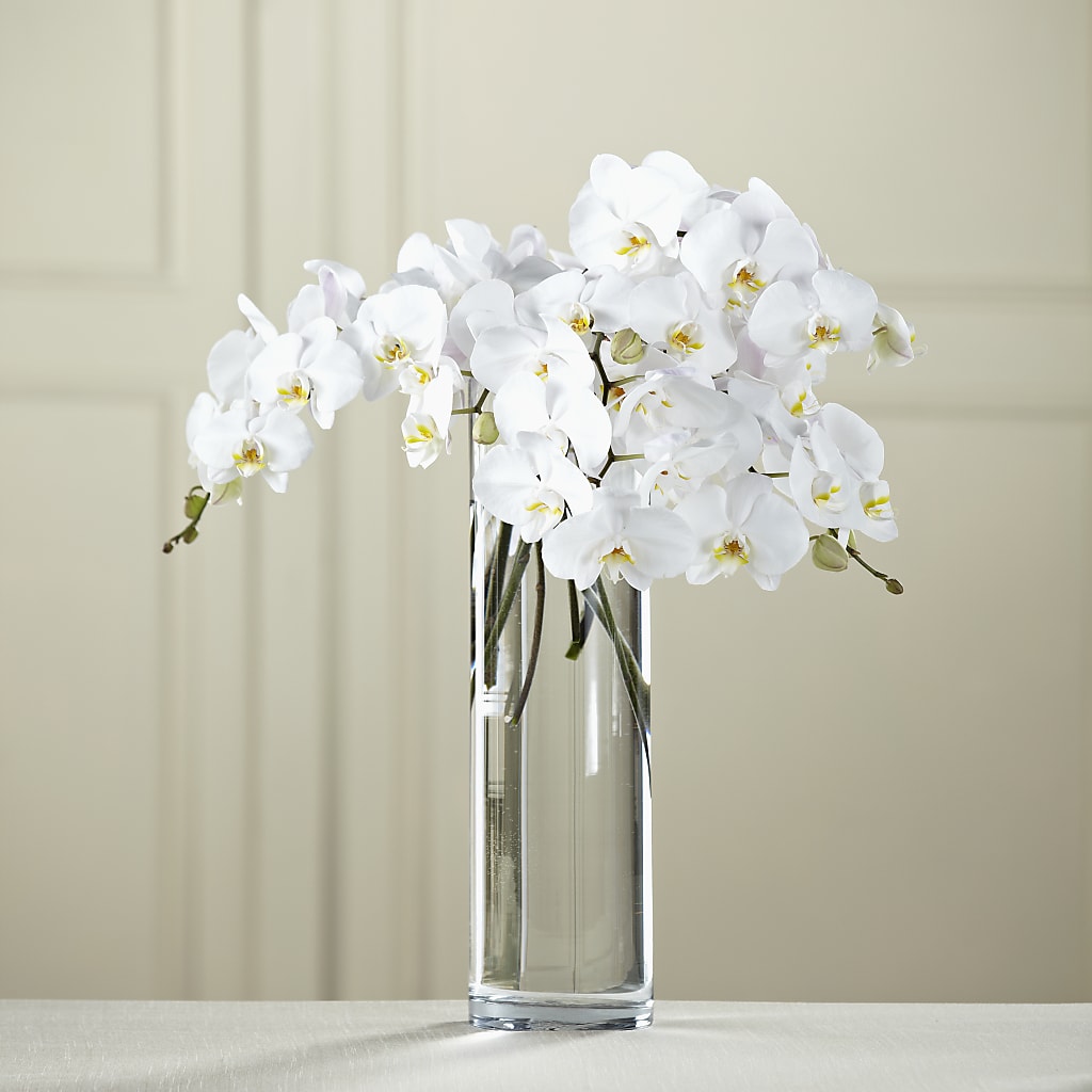 White Phalaenopsis Bouquet – MARMET FLOWERS & MORE, Marmet WV