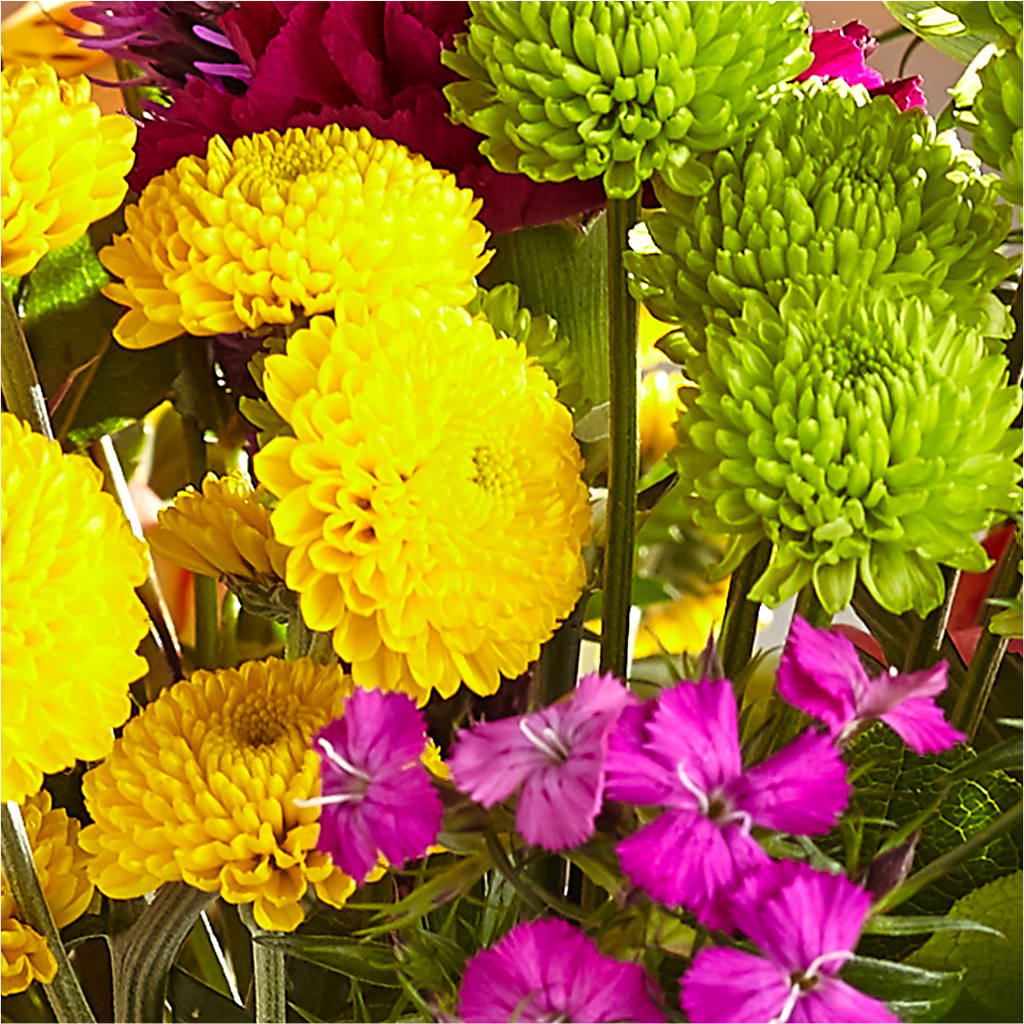 Bold & Bright – A Florist Original – MARMET FLOWERS & MORE, Marmet WV