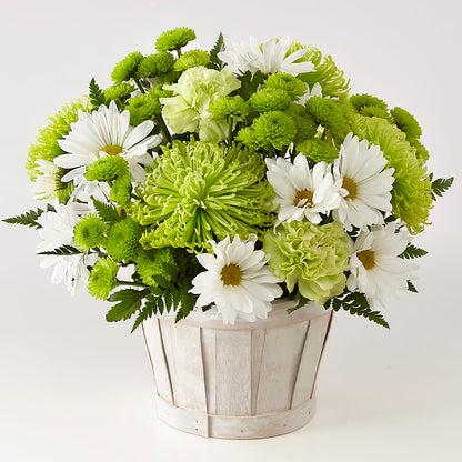 Lucky Charm Basket (Standard) – MARMET FLOWERS & MORE, Marmet WV