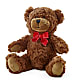 Adorable Plush Bear – MARMET FLOWERS & MORE, Marmet WV