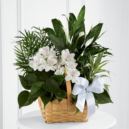 Peace & Serenity Dishgarden – MARMET FLOWERS & MORE, Marmet WV