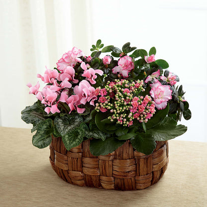 Pink Assortment – MARMET FLOWERS & MORE, Marmet WV