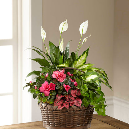 Dream in Pink Dishgarden – MARMET FLOWERS & MORE, Marmet WV