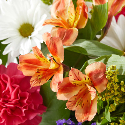 Oopsie Daisy Box Bouquet – MARMET FLOWERS & MORE, Marmet WV