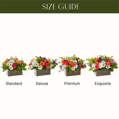 Oopsie Daisy Box Bouquet – MARMET FLOWERS & MORE, Marmet WV