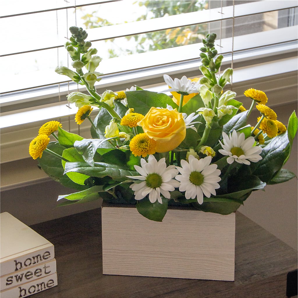 Sun Salutation Box Bouquet – MARMET FLOWERS & MORE, Marmet WV
