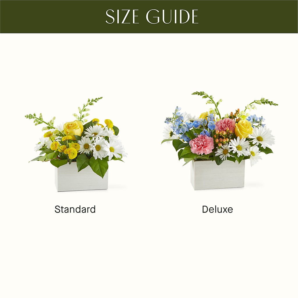 Sun Salutation Box Bouquet – MARMET FLOWERS & MORE, Marmet WV