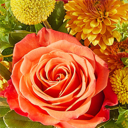 Gourdgeous Pumpkin – MARMET FLOWERS & MORE, Marmet WV