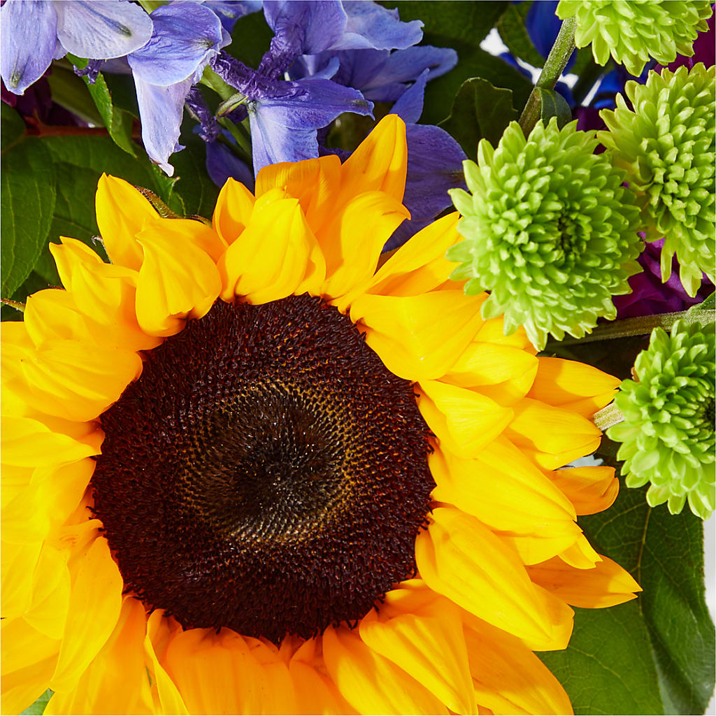 Catching Rays Bouquet – MARMET FLOWERS & MORE, Marmet WV