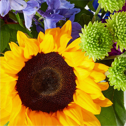 Catching Rays Bouquet – MARMET FLOWERS & MORE, Marmet WV
