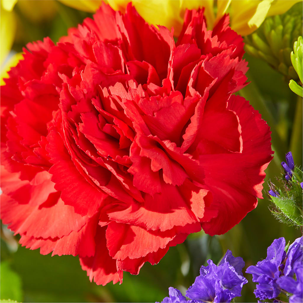 Brighter Days Bouquet – MARMET FLOWERS & MORE, Marmet WV