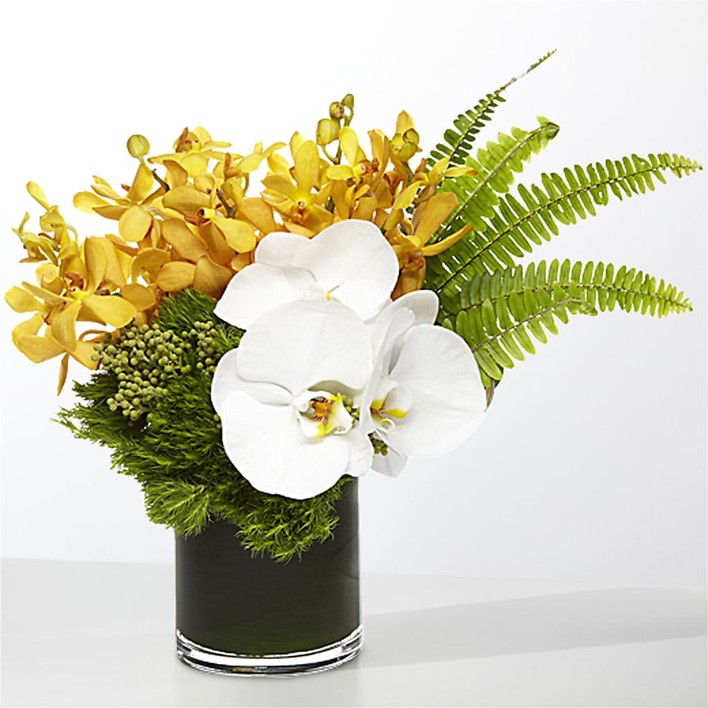 The Tropics – MARMET FLOWERS & MORE, Marmet WV