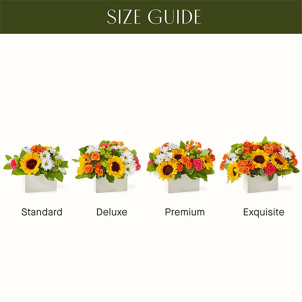 Sun-drenched Blooms Box Bouquet – MARMET FLOWERS & MORE, Marmet WV