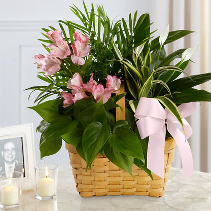 Living Spirit Dishgarden – MARMET FLOWERS & MORE, Marmet WV