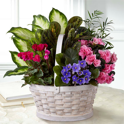 Peaceful Garden Planter – MARMET FLOWERS & MORE, Marmet WV