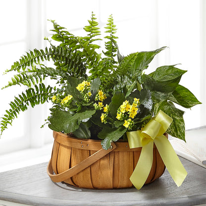 Always Dear Dishgarden – MARMET FLOWERS & MORE, Marmet WV
