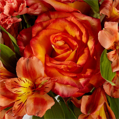 Apricot Glow Bouquet – MARMET FLOWERS & MORE, Marmet WV