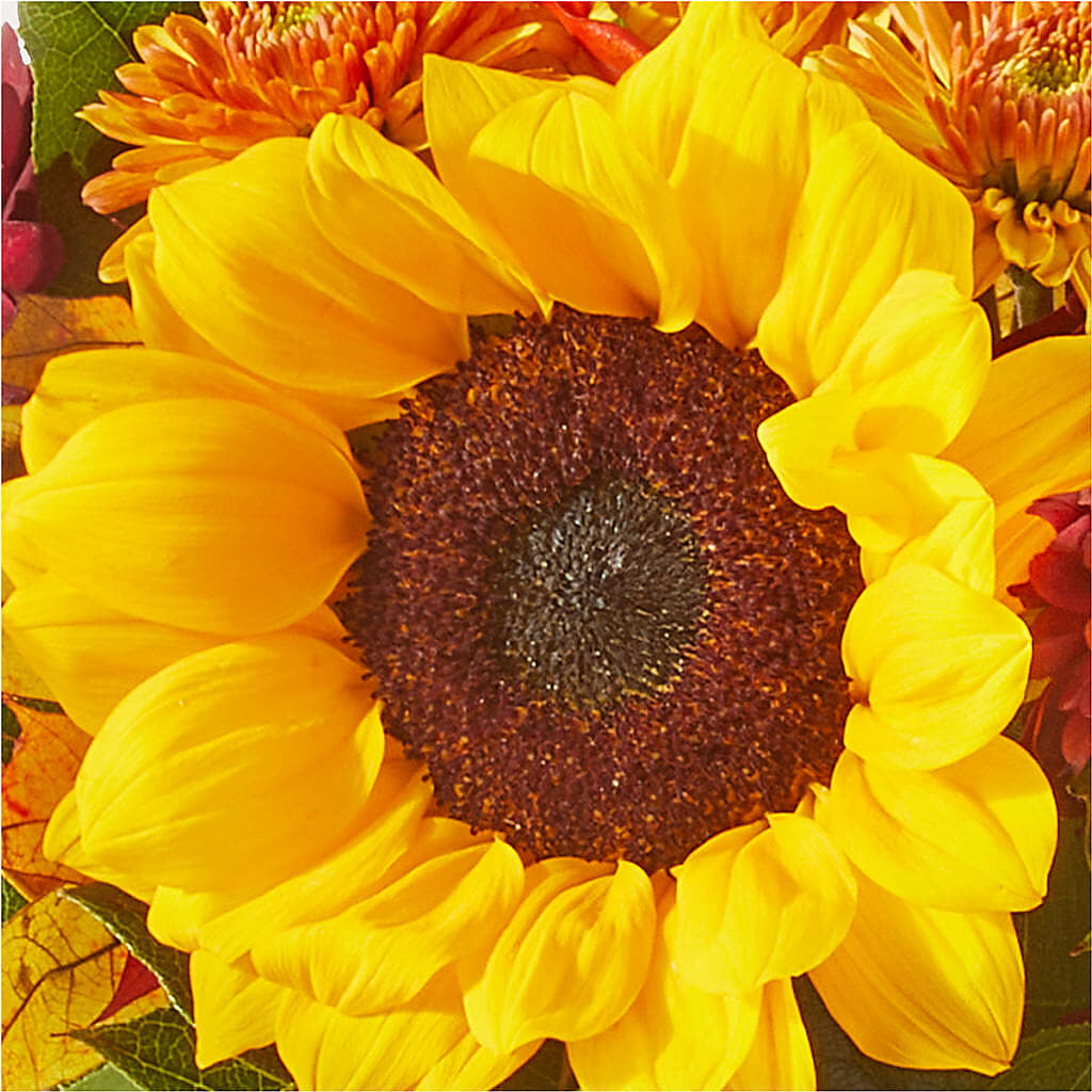 Sunny Side Bouquet – MARMET FLOWERS & MORE, Marmet WV