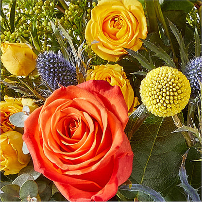 Disco Bouquet – MARMET FLOWERS & MORE, Marmet WV