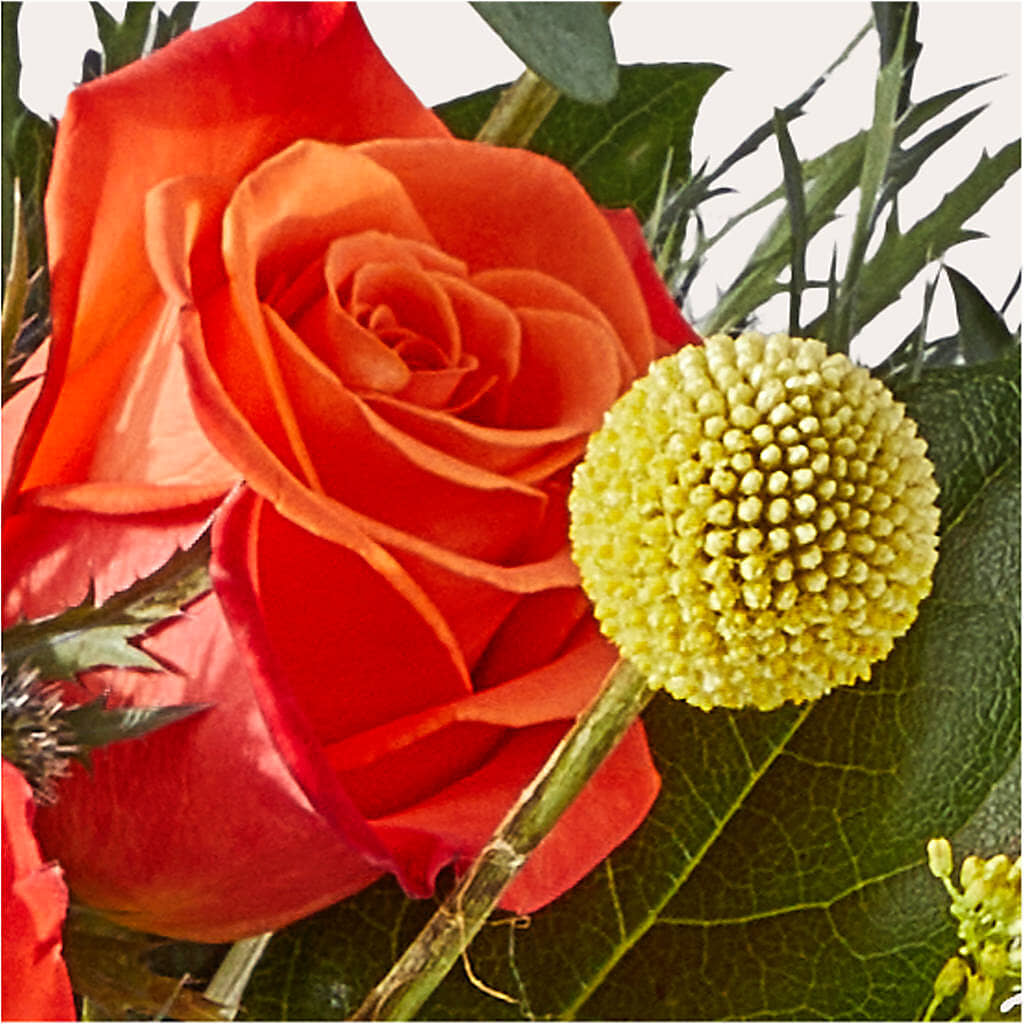 Disco Bouquet – MARMET FLOWERS & MORE, Marmet WV