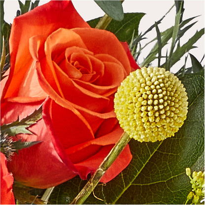 Disco Bouquet – MARMET FLOWERS & MORE, Marmet WV