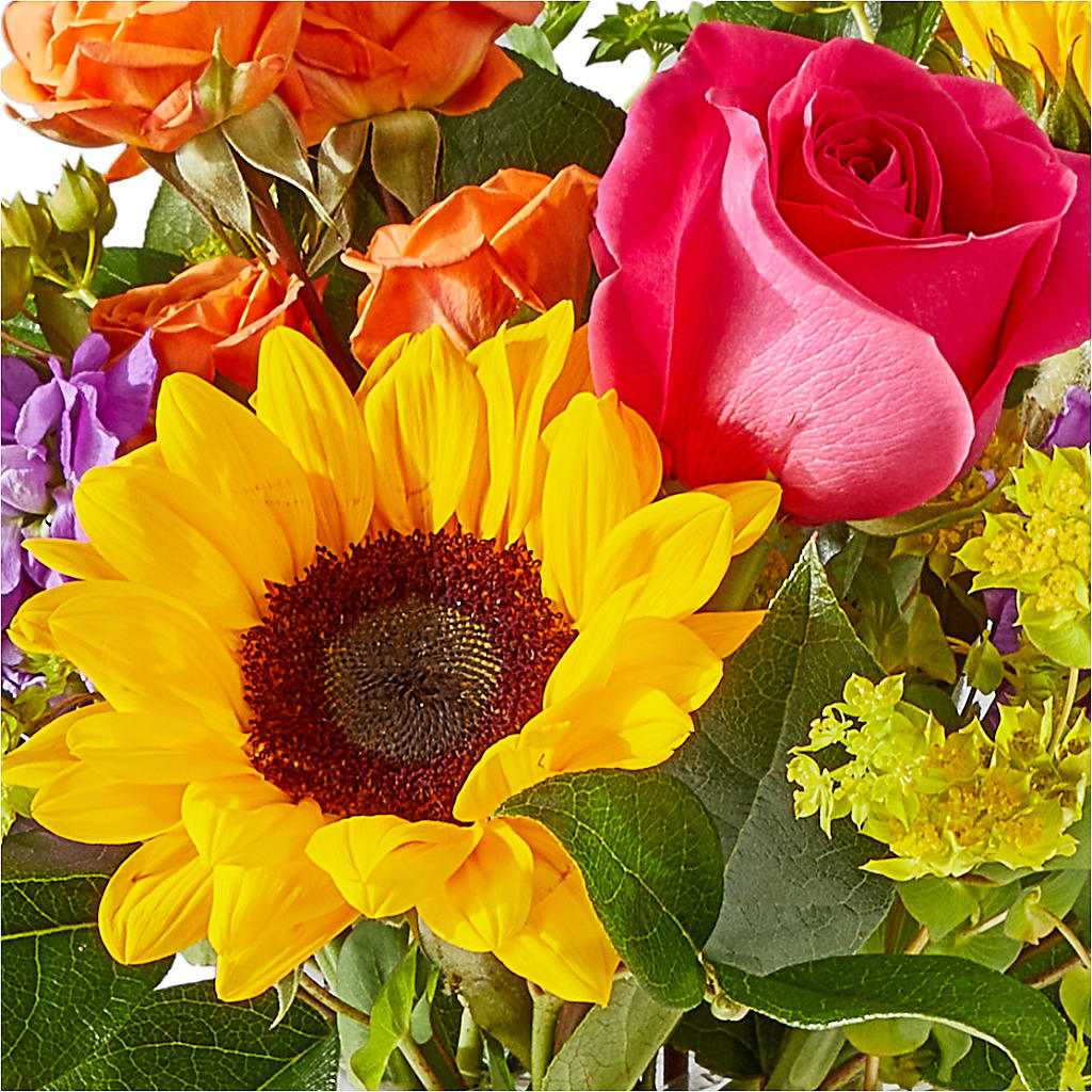 Vibrant Greetings Bouquet – MARMET FLOWERS & MORE, Marmet WV