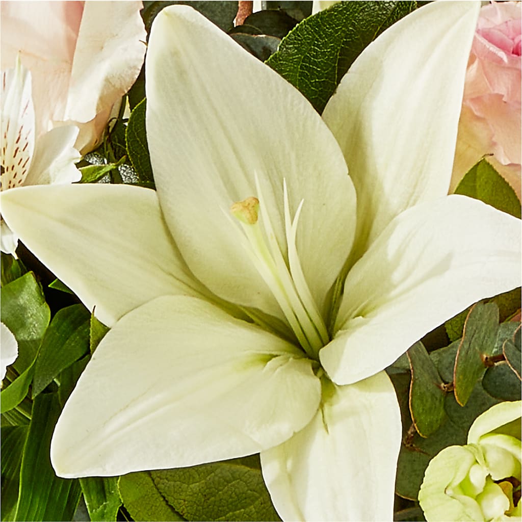 Ballet Slippers Bouquet – MARMET FLOWERS & MORE, Marmet WV
