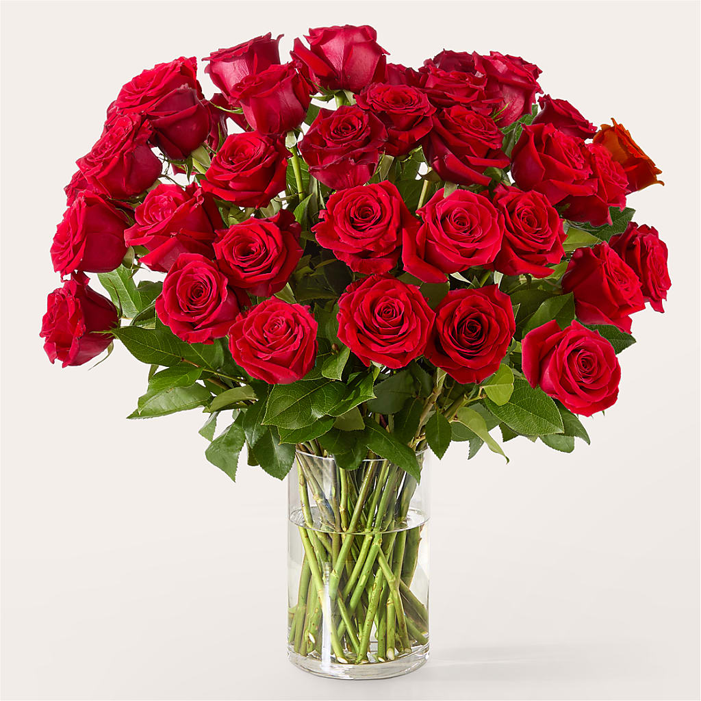 The One Red Rose Bouquet – MARMET FLOWERS & MORE, Marmet WV