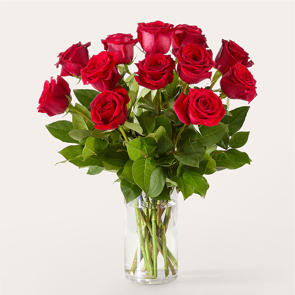 The One Red Rose Bouquet – MARMET FLOWERS & MORE, Marmet WV