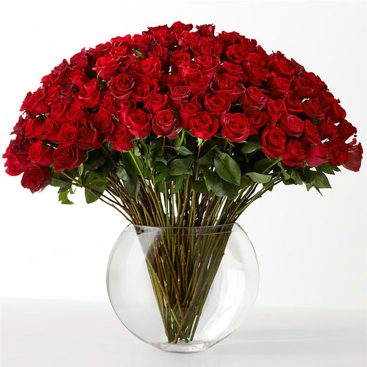 The Idealist – MARMET FLOWERS & MORE, Marmet WV