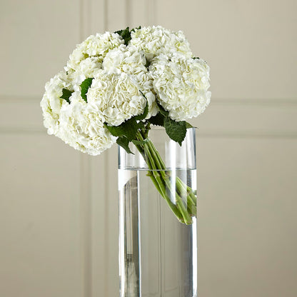 White Hydrangea Hand-Tied Bouquet – MARMET FLOWERS & MORE, Marmet WV